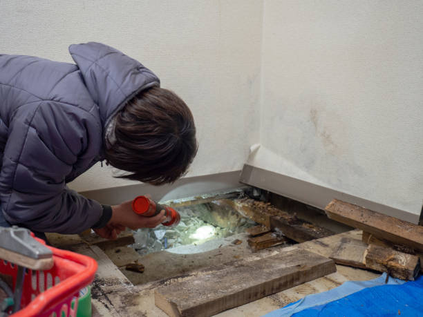 Best Mold Documentation for Insurance Claims  in Franklinville, NJ