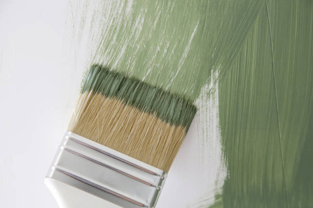 Best Attic Mold Removal  in Franklinville, NJ