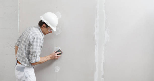 Best Mold Prevention Services  in Franklinville, NJ