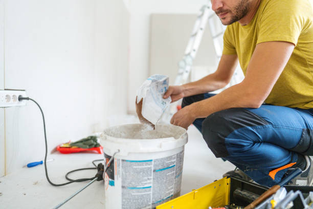 Reliable Franklinville, NJ Mold Removal Solutions