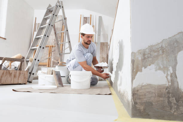 Best Mold Odor Removal Services  in Franklinville, NJ