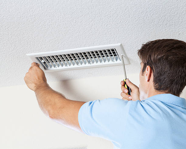 Best Black Mold Removal  in Franklinville, NJ