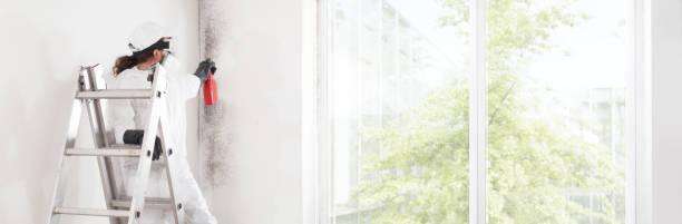 Best Mold Documentation for Insurance Claims  in Franklinville, NJ
