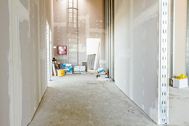 Best Mold Damage Restoration  in Franklinville, NJ