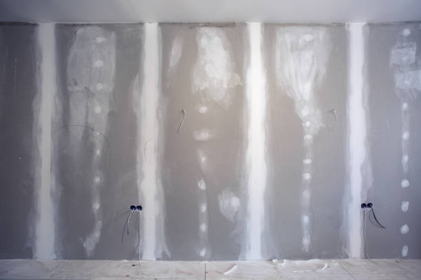Best Commercial Mold Inspection  in Franklinville, NJ